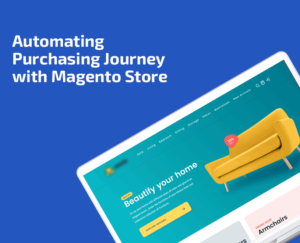custom magento development for furniture store