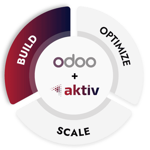 build optimize scale section