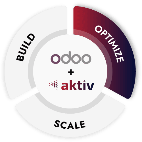 build optimize scale section homepage