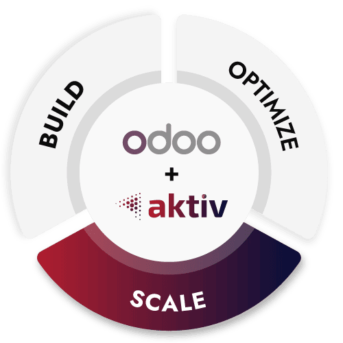 build optimize scale